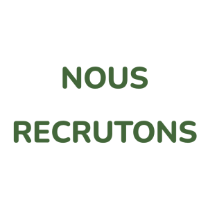 Offres d'emploi
